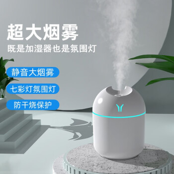 深宝来加湿器迷你卧室办公室家用婴儿香薰机小型USB车载宿舍桌面床头空调房喷雾大容量空气加湿生日礼物白色加湿器【插电款】七彩氛围灯	